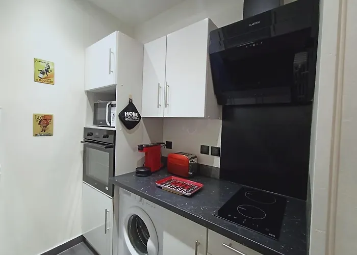 公寓 T1 Bis Centre Aix-les-bains, 2 Pers, Animaux Admis - Fr-1-555-44 *