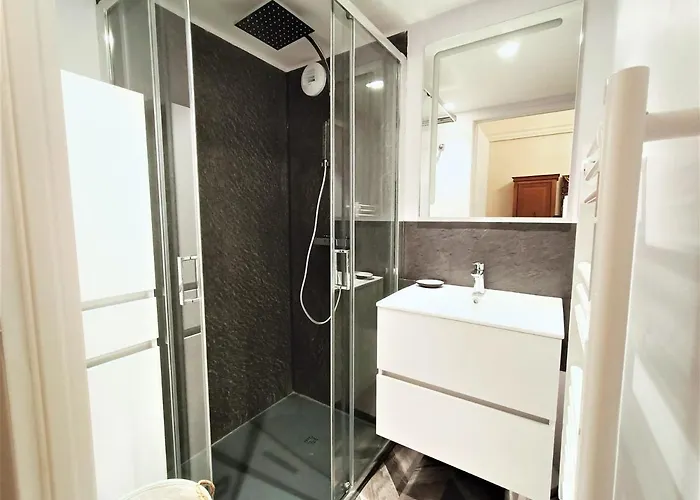 T1 Bis Centre Aix-les-bains, 2 Pers, Animaux Admis - Fr-1-555-44 艾克斯莱班