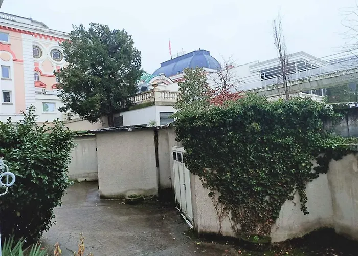 T1 Bis Centre Aix-les-bains, 2 Pers, Animaux Admis - Fr-1-555-44