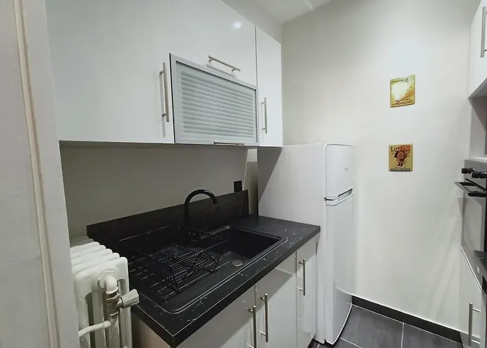 T1 Bis Centre Aix-les-bains, 2 Pers, Animaux Admis - Fr-1-555-44 公寓 *